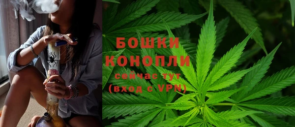 бошки Волоколамск
